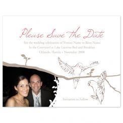 A New Branch of Love Save the Date Cards