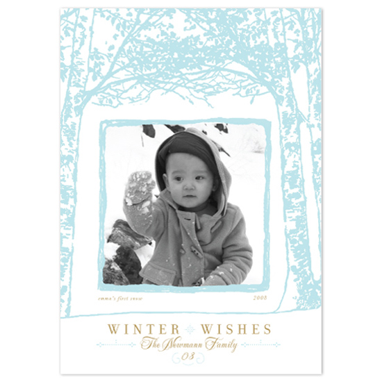 Holiday Photo Cards - float + winter wishes by Float Paperie