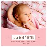 Swaddled by Ann Rae Paperie