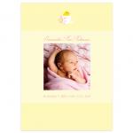 Hatched by Susan Schneider