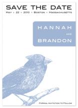 Blue Cardinal by 