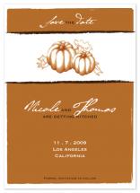Pumpkin Patch by 
