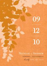 Autumn Leaves by Amanda Larsen Design