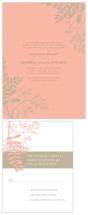 Tuileries by beth perry DESIGN