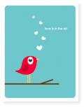 amore by marabou design