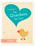Quackers by Amanda Larsen Design