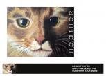 Cat Lover Personal Stationery by Holly Herick Design