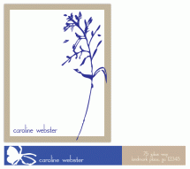 Soft Botanical by paper ink.