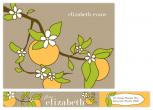 Vintage Orange Blossom Personal Stationery by Sydney Newsom