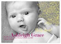 Gracie by Sharise Williams