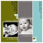 Here We Grow by Christy Vance