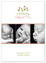 Baby Blooms by Kelly Nasuta