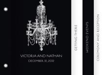 Chandelier by Wiley Valentine