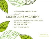 Leaves of Green by Cheree Berry Paper