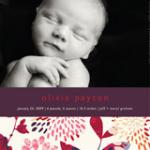 Genevieve by Paper Plains