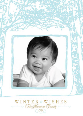 holiday photo cards - float + winter wishes by Float Paperie
