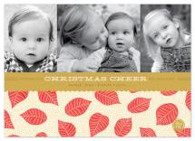 poinsettia petals  by design lotus
