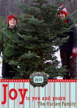 Tree Fun by Karen Hurley