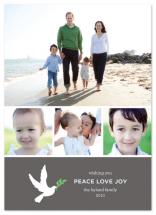 Dove Love by Saddle Stitch Studio