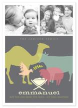 Animal Nativity by Moglea