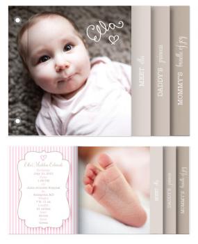 Little Princess Minibook Cards