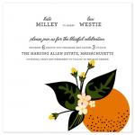 Citrus Crush by Emily Ranneby