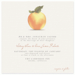 Apple Harvest by Alana Rees