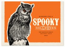 Owl Be There for You on... by Alex Elko Design