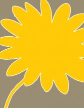 Illustrated Daisy - Yel... by Tenisha Proctor