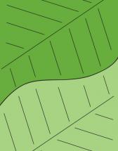 Green Leaves by Tenisha Proctor