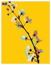Cherry blossoms by Bloom Art and Design