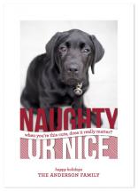 Naughty or Nice by Sarah Brown