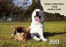 a chewed up holiday by Marna Schindler