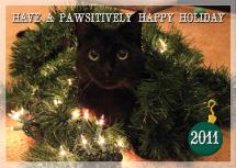A Pawsitively Happy Hol... by Marna Schindler