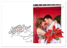 PoinsettiaGreetings by Bloom Art and Design