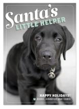 Little Helper by Jody Wody