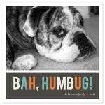 Bah Humbug by Emily Ranneby