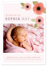 New Born Poppy by Moe and Me