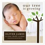 Our Tree Is Growing by Vicky Barone