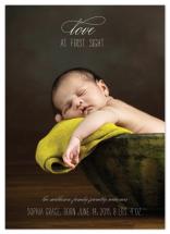 Love at First Sight by Kimberly FitzSimons