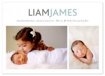 Little Flower by Emily Ranneby