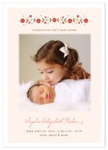 My Baby Sister by Jana Volfova