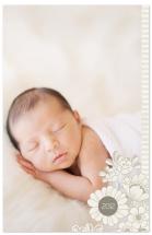 Organic Baby by vinnie pearce