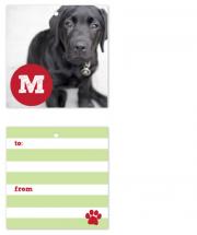 Red Paw by Pink Hippo Prints