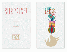 Petite Otarie by Cecile Paper Lounge