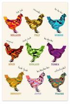 Chickens of the World by Tolani Lightfoot