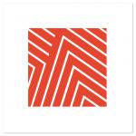 Chevy Chevron by SimpleTe Design
