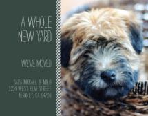 A Whole New Yard by Erika Tracy