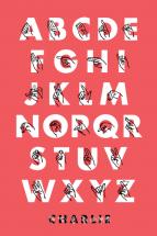 Signed ABCs by ERAY