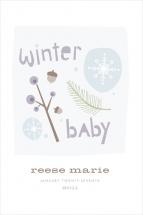 Winter Baby by Carolyn MacLaren
